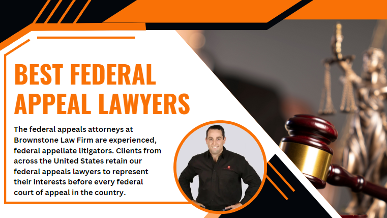 Best federal appeal lawyers