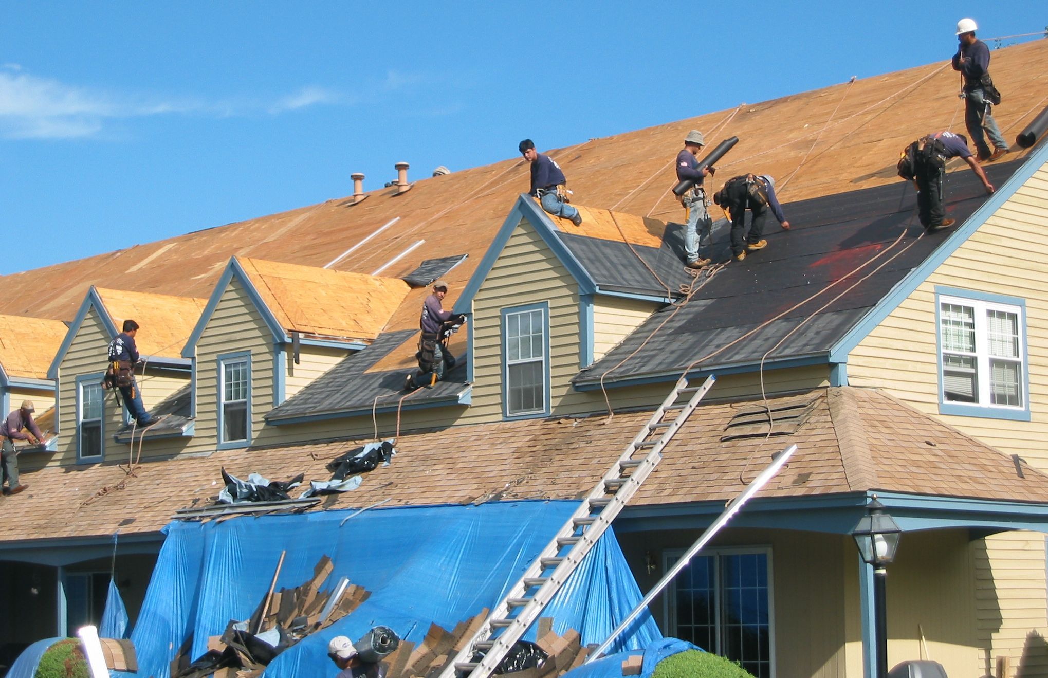 Roof in Twickenham