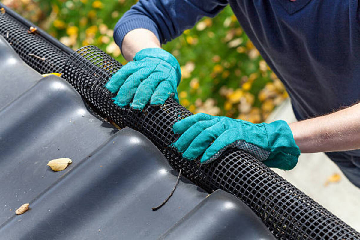 Professional Gutter Cleaning