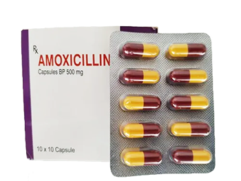 amoxicillin-amoxil