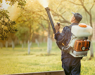 Pest Control In Youngstown