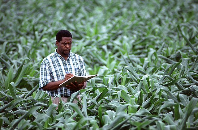 phd in agriculture science