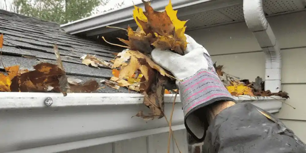 gutter cleaning