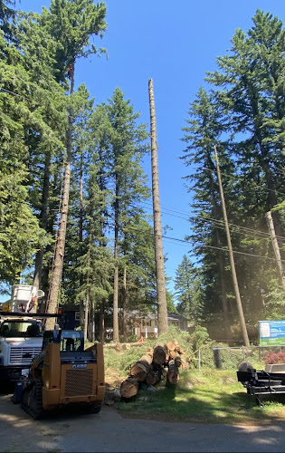 Diamond Tree Company