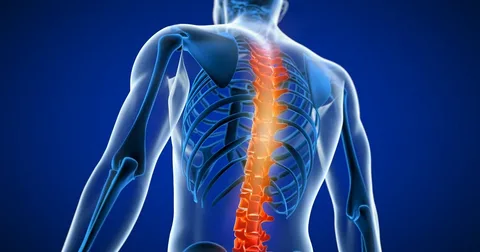 Back Surgeon