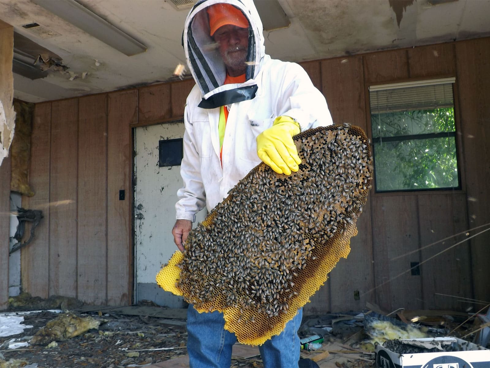 beekeeper near me