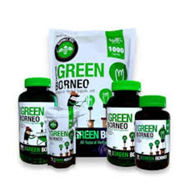 Bumble Bee Green Borneo Kratom Capsules