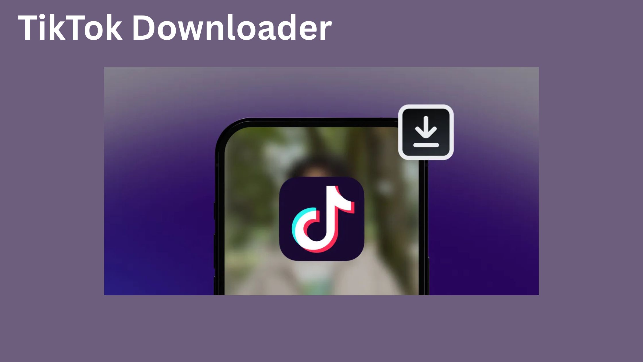 TikTok Downloader