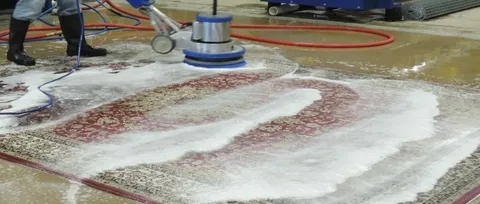 A Cleaner in cleaning the carpet