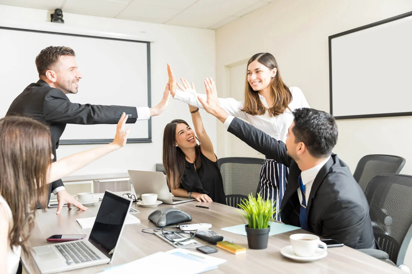 Web Development in Bareilly
