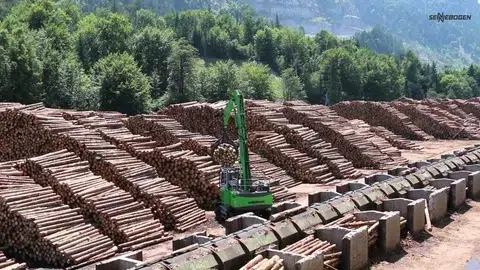 Northeast Timber Services