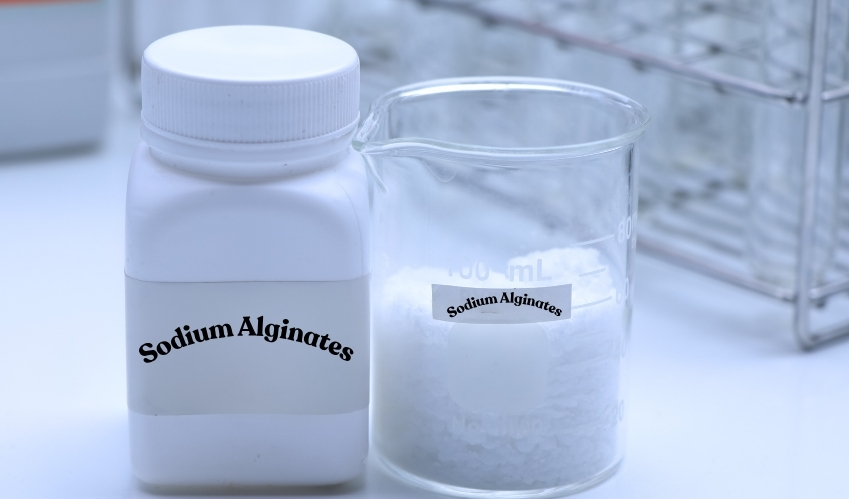 Sodium Alginates Market