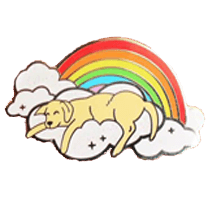 lapel pin badges