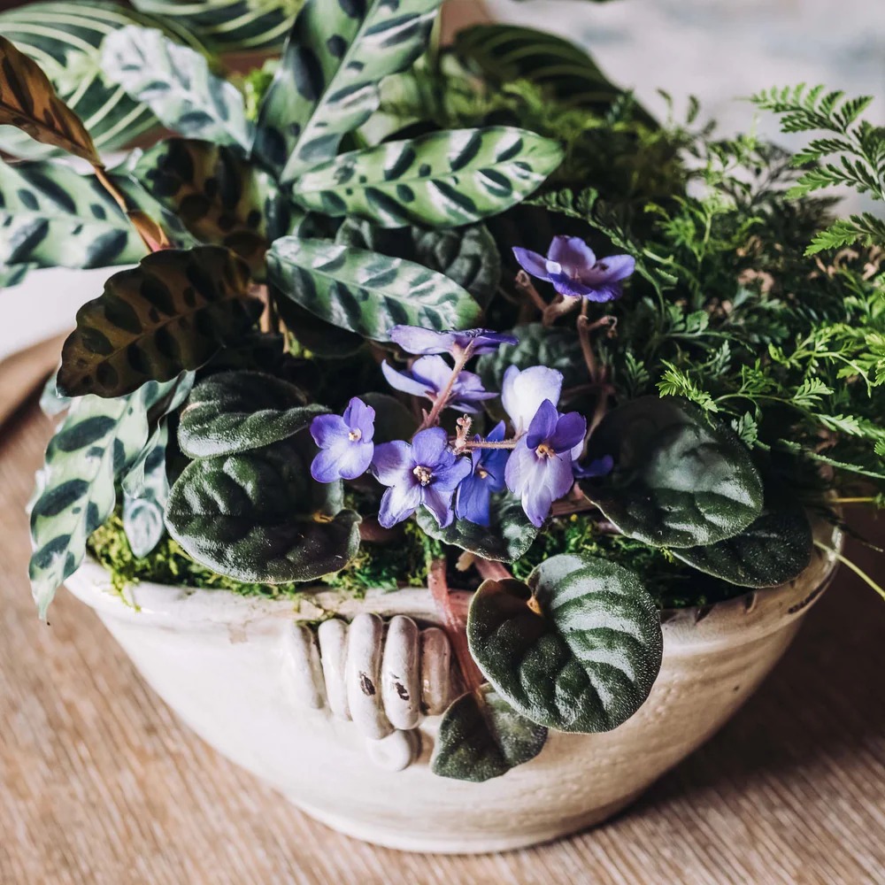 Johns Creek Ladies Gifts